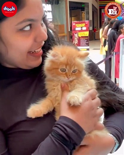 🐾Chennai, get ready! The Championship Cat Show 2026 is coming to town 🐱✨ India’s biggest cat event with everything you can imagine under one roof! ✨ Show Highlights: ✔️ 300 Cats ✔️ 10 Exotic Breeds ✔️ International Judges ✔️ 80 Pet Brands ✔️ Indian Native Breed Cats ✔️ Fun Photo Booth ✔️ Trophies & Gift Hampers for Winners ✔️ Cat Adoption Zone 📍 Venue: SPP Garden, #51(Old No.55),Seemaathamman Koil Street, Mettukuppam Road, Maduravoyal, Chennai 📅 Date: 18 January 2026 🎟️ Book your tickets no