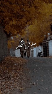 Sulah krna Seekho 🌸 | Hazrat Ali (A.S)