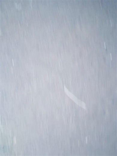 Understanding Hooligans in Today's Culture