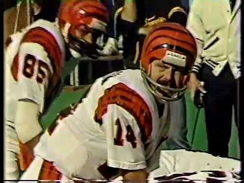 1982 Week 11 - Cincinnati Bengals at Philadelphia Eagles
