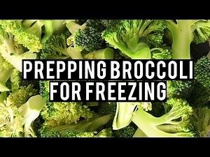 Prepping Broccoli For Freezing