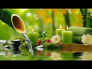 Relaxing Music and Nature Sounds for Meditation, Sleep 🌿 Relieve Stress & Anxiety, Deep Sleep Music