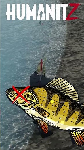 HumanitZ | Tip - Grenade Fishing
