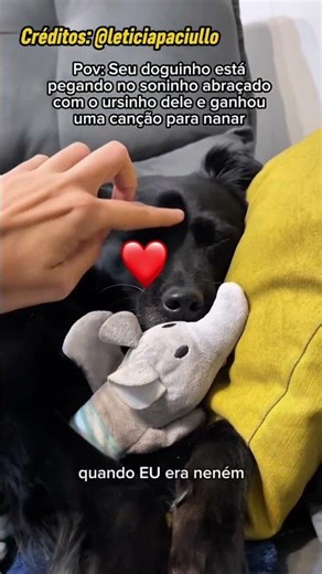 SÓ VAI CURTIR QUEM ACHOU FOFO 🥹 #familia #pets #fofo #cachorro #youtubeshorts #shorts