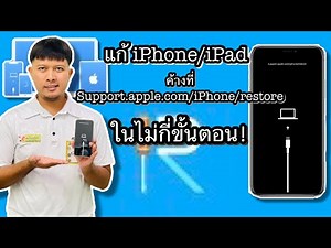 Fix iPhone/iPad stuck at support.apple.com/iphone/restore with Tenorshare ReiBoot. It's easy!