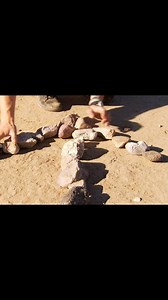 Desert Survival Tips 🌵 #trendingreel | Scienceofstupid.tamil