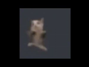 cat dancing to funny music 10 hours / кот танцует под веселую музыку 10 часов