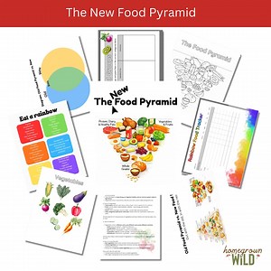 The New 2026 Food Pyramid Unit Study | Health & Body | Nutrition | Vitamins | Minerals - Etsy