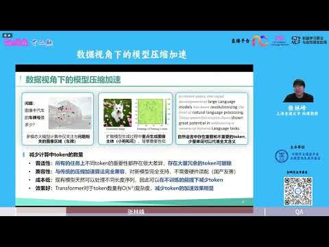 NICE Session 87: Model Compression and Acceleration from a Data Perspective