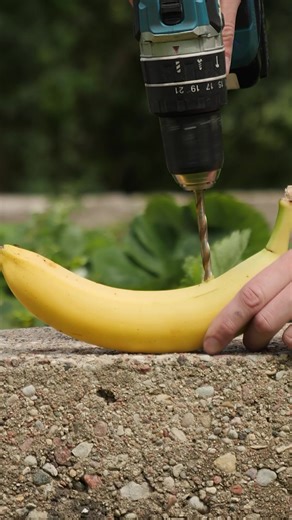 Small gardening ideas with surprisingly big results 🌱 | Crafty Panda