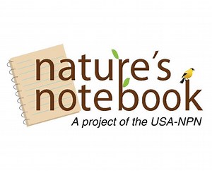 Nature’s Notebook | Nature Nation