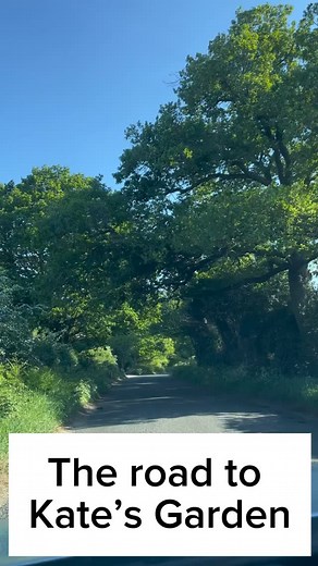 Welcome to Kate’s Garden 🌿 A pioneering therapy space like no other – where children and young people are free to explore, play, and heal in their own time, in their own way. Set in two and a half acres of beautiful woodland, Kate’s Garden blends psychodynamic psychotherapy with nature, movement, animals, creativity and above all – freedom of choice. Inside or outside, quiet or active, structured or playful – each child leads the way, supported gently and safely in a space built entirely with t
