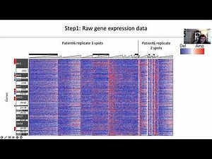Detect Copy Number Variations on 10x Spatial Transcriptomics Data