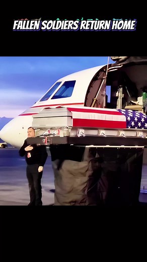 Heartwarming Military Homecoming Moments