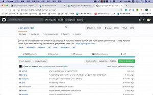 GO WEB开发全套教程