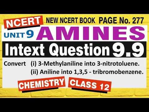 Amines Intext Question 9.9 Class 12 Chemistry | Chapter 9 NCERT Solutions ✅@JainTutor