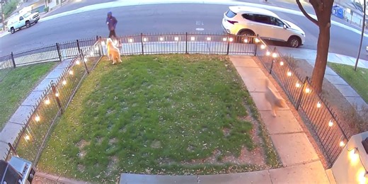 Phoenix man says neighbor pepper sprayed his dog in his own yard