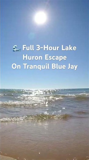 Lake Huron waves on a perfect summer day 🌊☀️