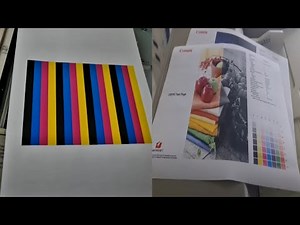 How To Fix Colour Issues On Canon IR Advance C5030 Printer