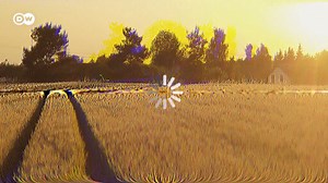 Why internet connections are so slow in Germany