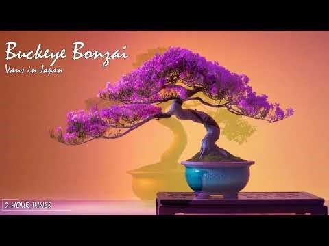 Buckeye Bonzai - Vans in Japan | 2-hour tune | Endless loop | Copyright Free!