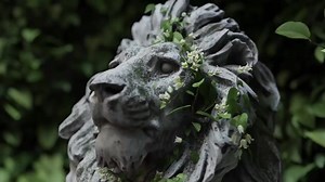 25 reactions | Check out Baga Ivy Generator 2. The neat Blender plugin lets you draw 3D ivy - and now 70 other species of climbing plants - directly over your 3D scenes for VFX, motion graphics and arch viz: https://www.cgchannel.com/2023/08/check-out-neat-new-blender-plugin-baga-ivy-generator/ | CGchannel | Facebook