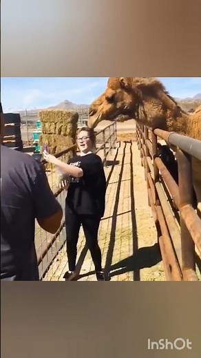 funny fails video compilation multi in one ll #funny