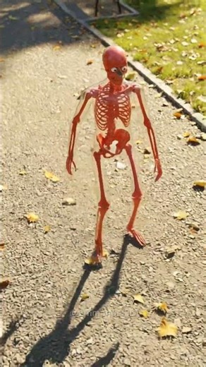 Why You Always See A Trash Can At Disney PART 2(refrence:zackdfilms)#shorts