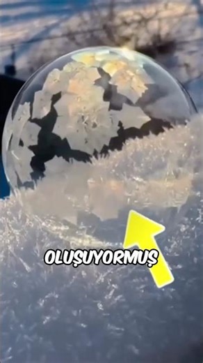 SOAPY WATER BUBBLE EXPERIMENT!