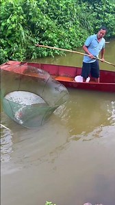 Fishing Rod | Fishing Videos | Fishing Tour | Fishing in River | Fishing in Japan #shorts #fishing