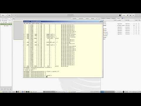 Linux Gtk Glade Programming Part 22 - GUI Sockets