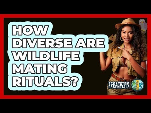 How Diverse Are Wildlife Mating Rituals? - Ecosystem Essentials