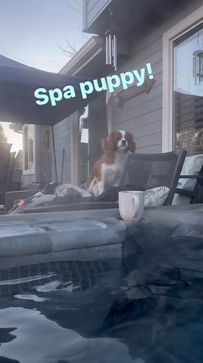 Eric Stanton on Reels | Facebook