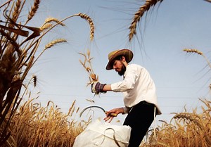 The end of the ‘shmita’ year: An opportunity to begin again | The Jerusalem Post