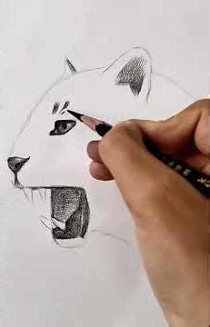 ❤️✏️ How to draw a leopard