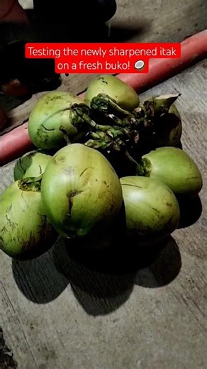 How We Open a Fresh Buko Using a Sharp Bolo or Itak