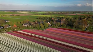 Drone Views of Amsterdam’s Canals, Dutch Windmills and Tulip Fields