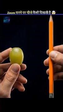 What things look like when zoomed (Part 2) #surprisefacts #facts #viralshort