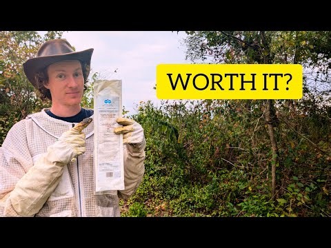 Varroxsan Review: Is This the Future of Varroa Treatments?”