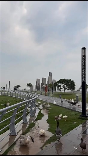 51K views · 1.1K reactions | Khobar City Saudi Arabia | مدينة الدمام Dammam Saudi Arabia | Facebook