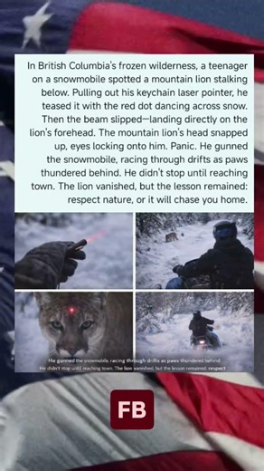 Laser Pointer Triggers Mountain Lion Chase!Subscribe for more