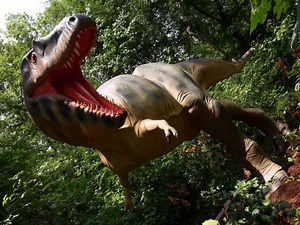 Life and Science museum shifts to winter hours