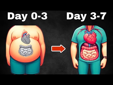 What Happens When You Don't Eat (Day by Day)