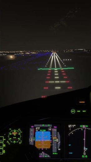 CHICAGO | Rate This Windy Night Landing | Boeing 777 #46
