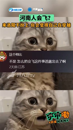 藏不住了！河南人会飞？洛阳牡丹节全城偶遇NPC！武则天遛狗，关二爷竟成滴滴司机？来洛阳不扮上 你会觉得自己在穿越！网友：洛阳 你洋气的我本地人都快不认识了 #…