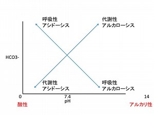 【基礎から学ぶ】酸塩基平衡（アシドーシス・アルカローシス）【解剖生理学】 - PTOT国試対策　ー西島ゼミー