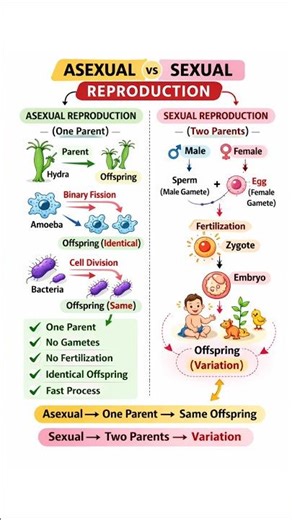 Asexual vs sexual reproduction | Telugu Biology#biologyintelugu