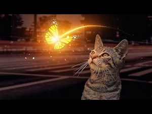 After Effects tutorial Saber Plugin Particles