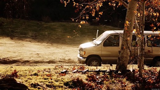 Shadow Wolves (2019) Watch HD