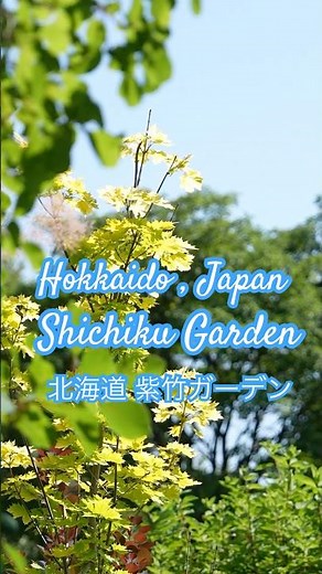 Shichiku Garden, Hokkaido Relaxing Garden Walk Vol.7 – 北海道/紫竹ガーデン